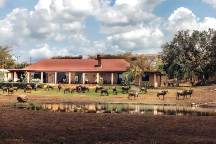Wildlife Residence Tuvaila Bagian luar foto